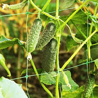 Сітка Шпалерна 1,5 висота