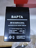 Акумуляторна батарея Акумулятор для електронних ваг 6 V / 4.5 AH / 20HR 70х47х100 BAPTA, фото 2