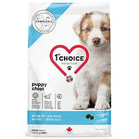 1st Choice Puppy Medium and Large 2 кг сухий корм для цуценят середніх та великих порід