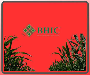 Насіння кукурудзи ВНІС