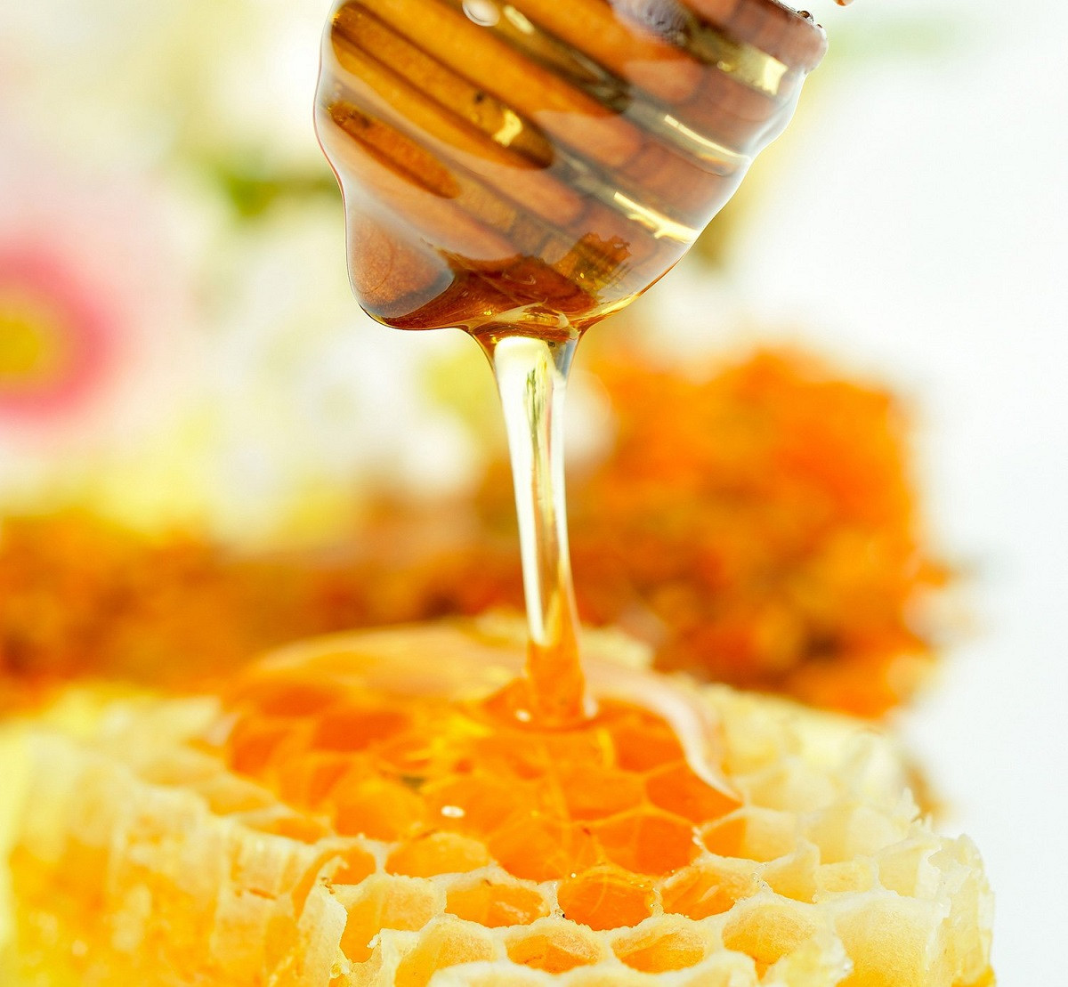 Ароматизатор для свічок - Мед 10 грам, фото 1