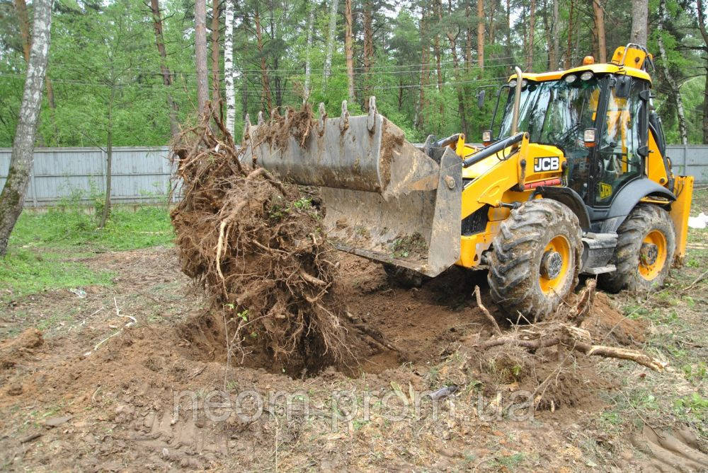 спилювання дерев і коренення пнів у Харкові та зоні