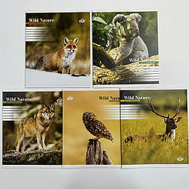 Зошит шкільний 24 аркуша "Бріск" клітинка