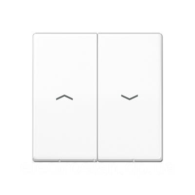 Клавіша з символами AS591-5P AS591-5PWW
