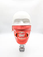 Фантом голови стоматологічний для навчання кріплення на установку