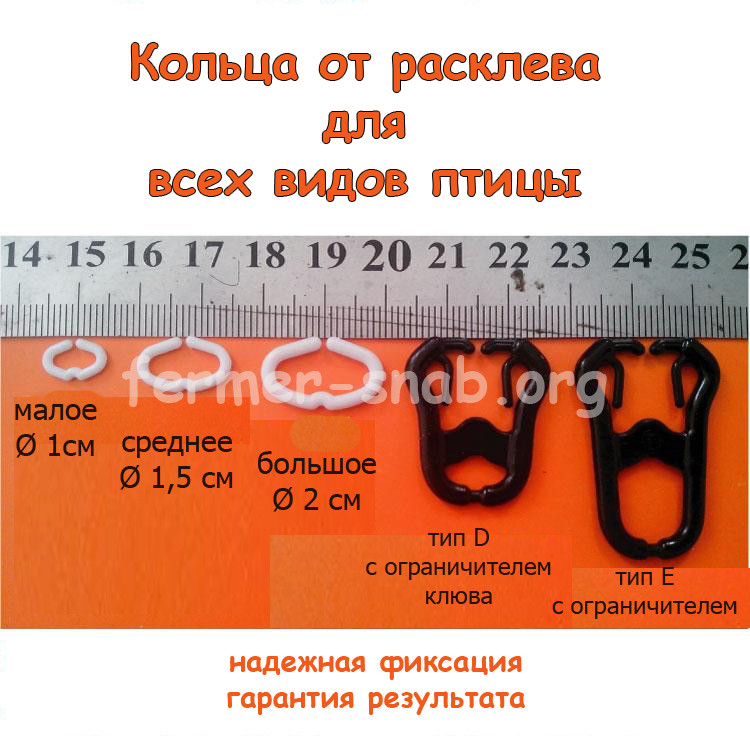 Стопорне кільце від розкльову (канибализма) для перепелів, курапаток і фазанів (мале) 1 см