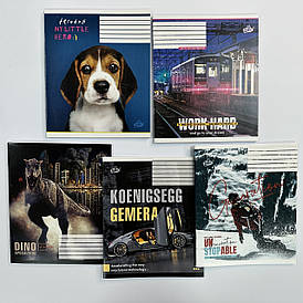 Зошит шкільний 48 аркушів "Бріск" клітинка