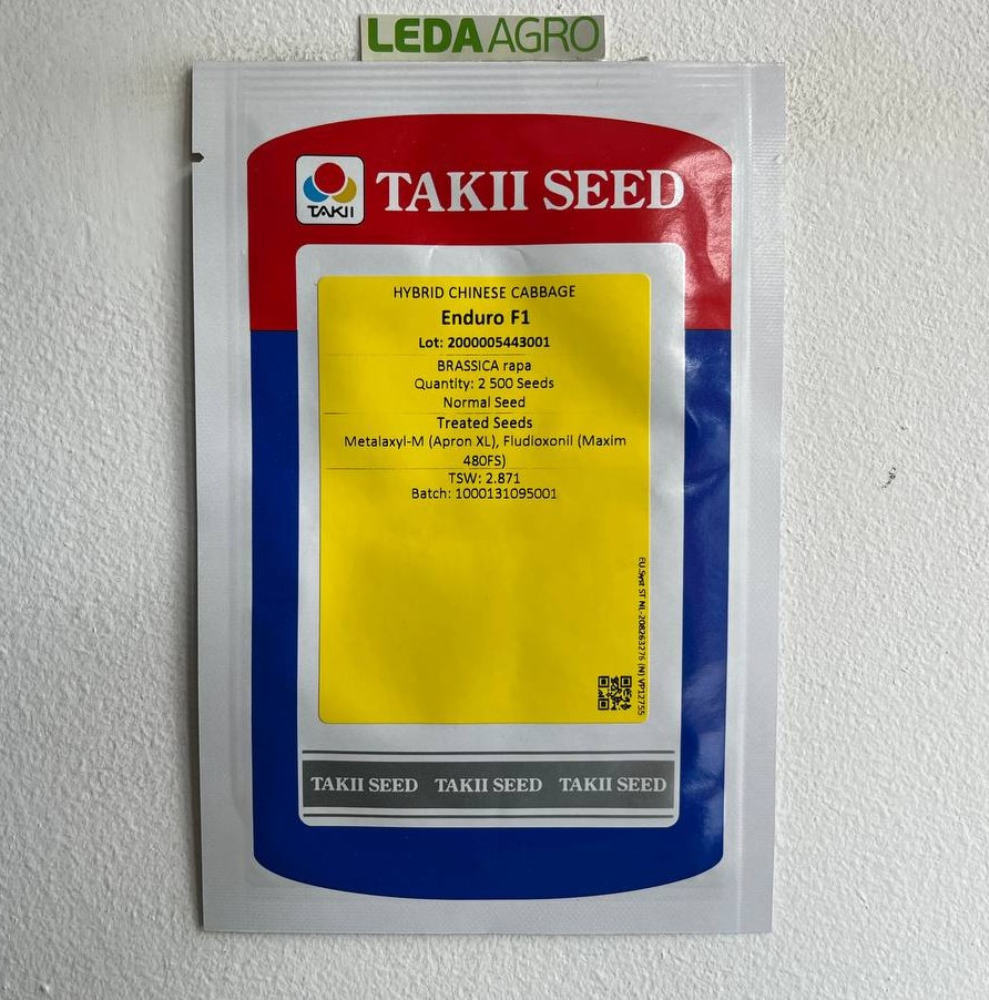 Капуста пекінська Єндуро F1 2500 шт (Taki Seed)