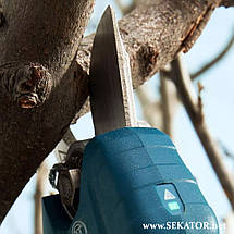 Акумуляторний секатор Bosch / Бош Professional Pro Pruner (06019K1021), фото 3
