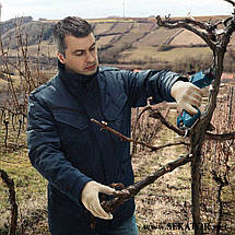 Акумуляторний секатор Bosch / Бош Professional Pro Pruner (06019K1021), фото 6