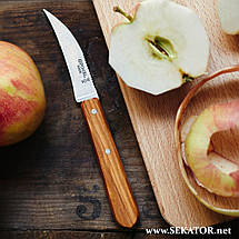 Набір кухонних ножів Opinel Les Essentials Olive/ Опінель 002163 (Франція), фото 4