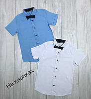 Рубашка с бабочкой Blueland для мальчика 10-16 лет короткий рукав арт.1503-1, Цвет Голубой, Размер одежды