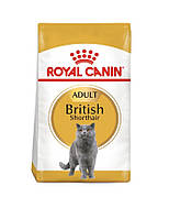 Royal Canin British Shorthair 10 кг корм для Британців короткошерстих від 1 року
