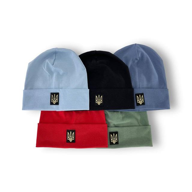 Шапка трикотажная для мальчика с отворотом детская Шапка трикотажная для мальчика с отворотом детская