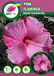 Гібіскус трав'янистий Рожевий фламінго(Pink Flamingo)