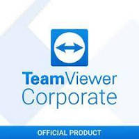 TeamViewer Corporate 30 LU 10 MTG 500 MD (подписка на 1 год)