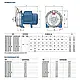 Насос поверхневий моноблочний відцентровий PEDROLLO CPm 150-ST4, фото 4