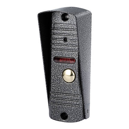 Виклична панель домофону SEVEN CP-7506 silver, фото 1