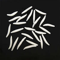 Опариш резиновий на Хелловін, набір, фосфорний, Опарыш резиновый на хэллоуин, фото 2