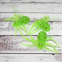 Павук резиновий на Хелловін, 6 см, фосфорний, салатовий, Паук резиновый на хэллоуин, фото 2