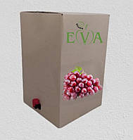 Освітлений концентрований виноградний сік (червоних сортів) (Bag In Box 13 кг)