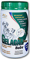 Гелакан Бейби Orling Gelacan Baby для опорно-двигательного аппарата щенков, беременных и кормящих сук, 500 гр