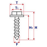 Саморізи, Під ключ із шайбою, Сріблястий, Метал, Розміри (мм): T-17.9 T1-9 F-5 H-18.8 H1-14.5. Марка, фото 2