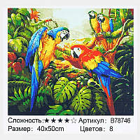 Картина за номерами + Алмазна мозаїка B 78746 (30) "TK Group", 40х50 см,"Папуги", в коробці