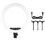 Кільцева світлодіодна лампа 45 см для фото та відеозйомки з 3 тримачами Селфі кільце К18-450CW для блогерів, фото 10