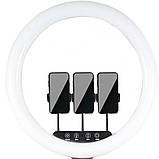 Кільцева світлодіодна лампа 45 см для фото та відеозйомки з 3 тримачами Селфі кільце К18-450CW для блогерів, фото 2