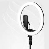 Кільцева світлодіодна лампа 45 см для фото та відеозйомки з 3 тримачами Селфі кільце К18-450CW для блогерів, фото 3