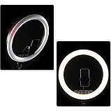 Кільцева світлодіодна лампа 45 см для фото та відеозйомки з 3 тримачами Селфі кільце К18-450CW для блогерів, фото 5