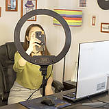 Кільцева світлодіодна лампа 45 см для фото та відеозйомки з 3 тримачами Селфі кільце К18-450CW для блогерів, фото 6