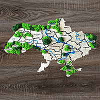Настенная карта Украины на акриле с подсветкой, карта Украины со стабилизированным мхом, карта Украины с мхом