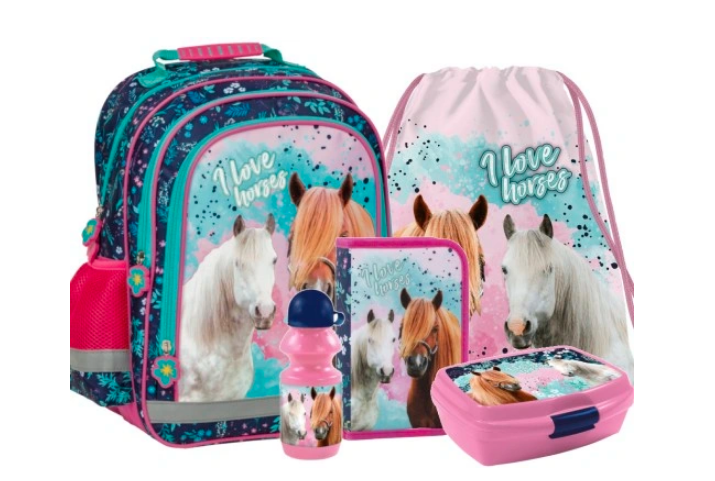 Рюкзак портфель шкільний для дівчинки Derform Horses комплект 5в1