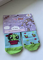Шкарпетки бавовняні дитячі демісезонні з малюнком "Кактуси", фото 7