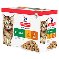 Вологий корм Hills Кitten для кошенят з куркою та індичкою Мульті Пак, 12х85г 1 уп