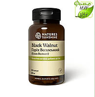 Черный орех Волоський горіх Black Walnut