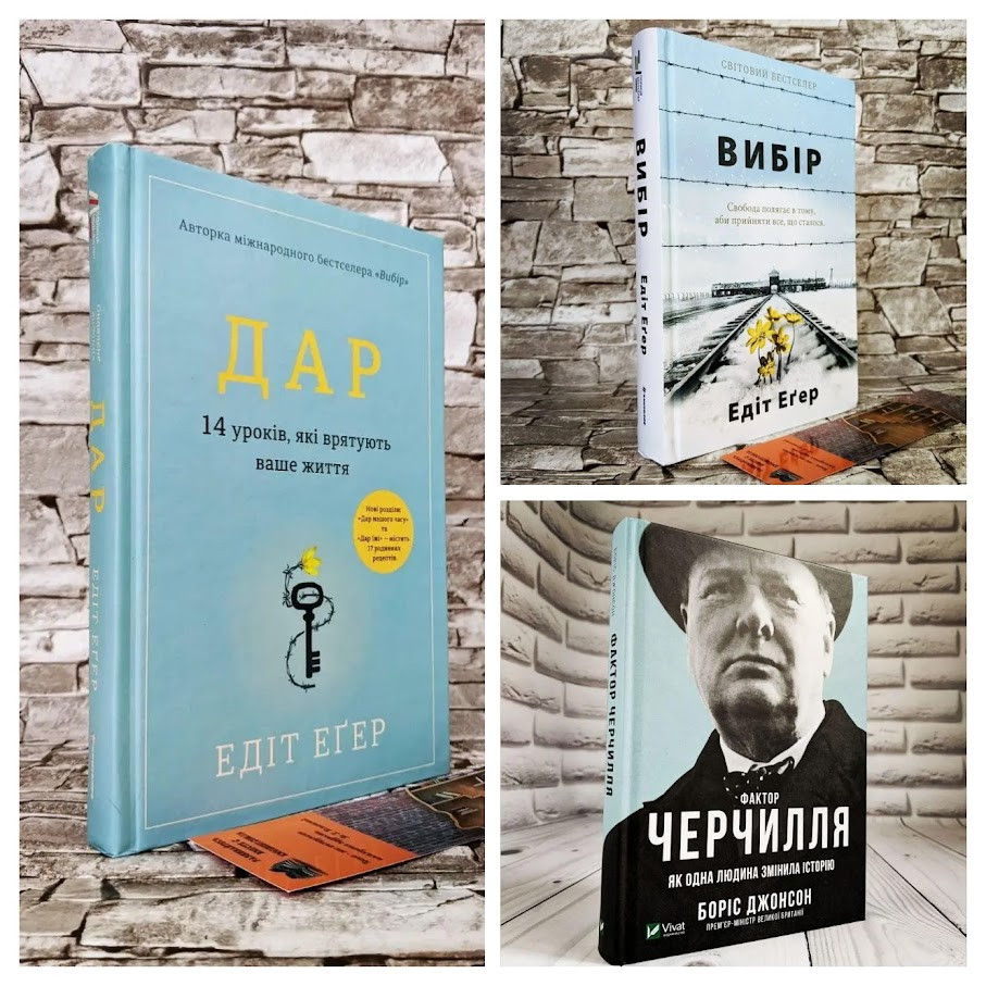 Набір книг "Дар. 14 уроків","Вибір. Прийняти можливе","Фактор Черчилля: Як одна людина змінила історію"