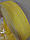 Бинтова стрічка для боксу PowerPlay Жовта (100м), фото 2