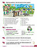 Комплект Quick Minds 4 for Ukraine НУШ Pupil's Book + Activity Book (Герберт Пухта) / Англійська мова 4 клас, фото 6