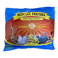 Морская кормовая ракушка Золото ракушка 1кг