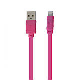 USB Hoco X5 Bamboo Lightning, фото 10