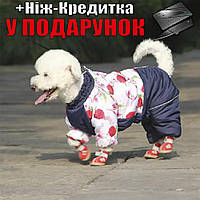 Комбинезон для собак Одежда для собак Мальчик 12-suit 2-3.5kg Разноцветный