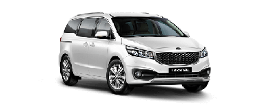 Чохли на Kia Carnival