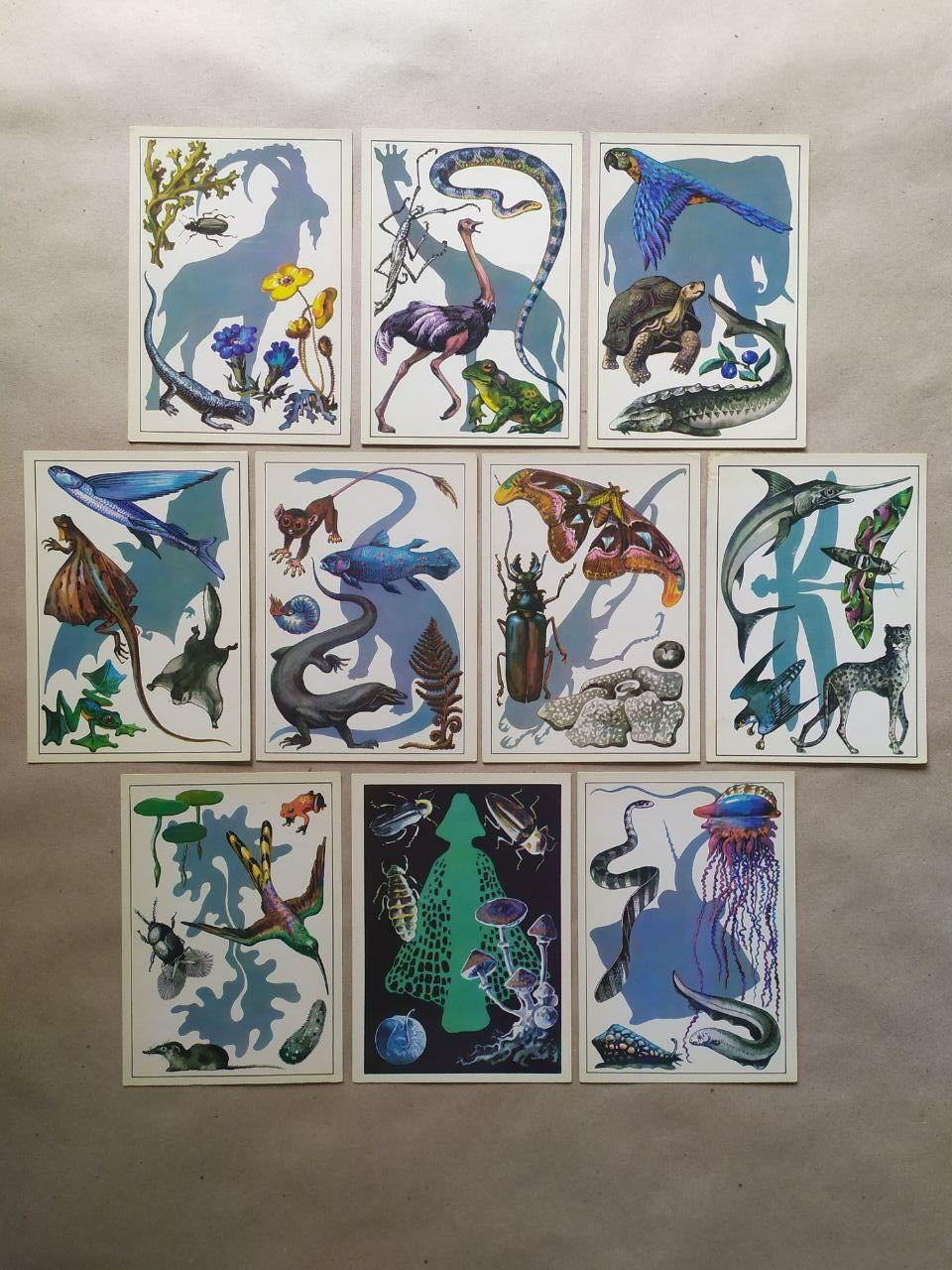 Product image preview