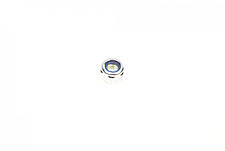 Опора кульова передня знизу ззовні R Audi A2 Skoda Fabia Roomster VW Polo 99-10 10VW2011, фото 5