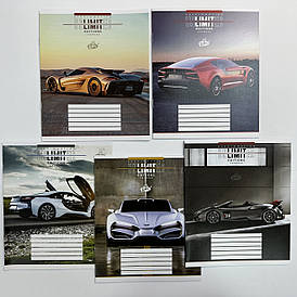 Зошит шкільний 12 аркушів "Бріск" клітинка