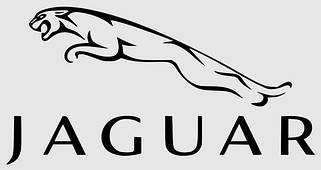 Чохли для ключів Jaguar