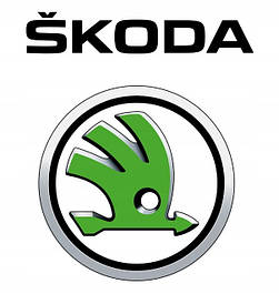 Чохли для ключів Skoda